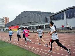 厄德高：梅里诺拥有进球嗅觉，他总是能出现在正确的位置上