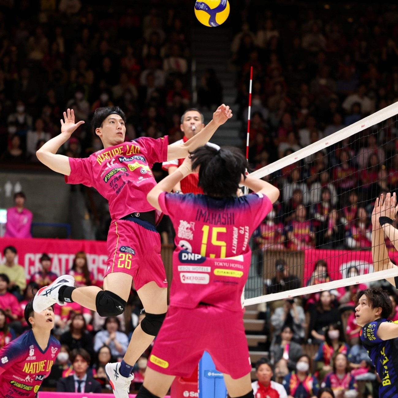 当匹诺康尼尘埃落定后，我见证了玩家与官方双向奔赴